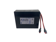 36V 20Ah Li-ion Battery - NMC Lithium Ion Deep Cycle