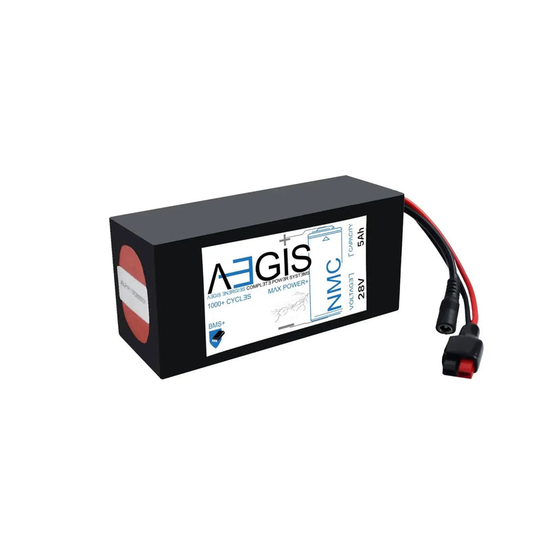 28V 5Ah Li-ion Battery - NMC Lithium Ion Deep Cycle