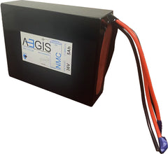 36V 5Ah Li-ion Battery - NMC Lithium Ion Deep Cycle