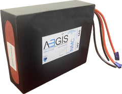 36V 5Ah Li-ion Battery - NMC Lithium Ion Deep Cycle