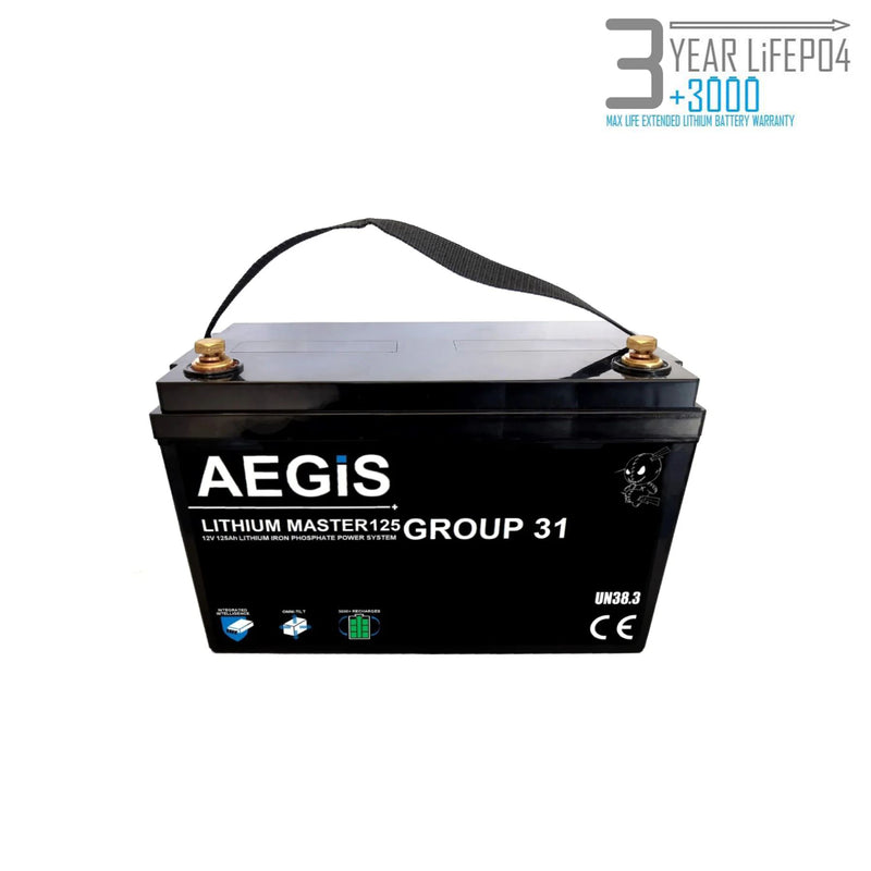 12V 125Ah LiFePO4 Lithium Iron Phosphate Deep Cycle Battery