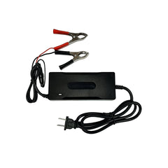 12V 10A LiFEPO4 LFP Lithium Iron Battery Charger - Aegis Battery