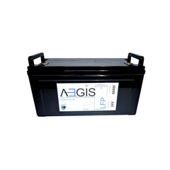 24V 60Ah LiFePO4 Lithium Iron Phosphate Deep Cycle Battery