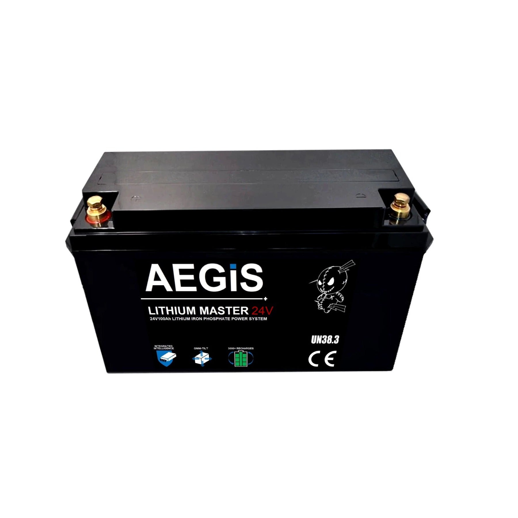 24V 100Ah LiFePO4 Lithium Iron Deep Cycle Battery