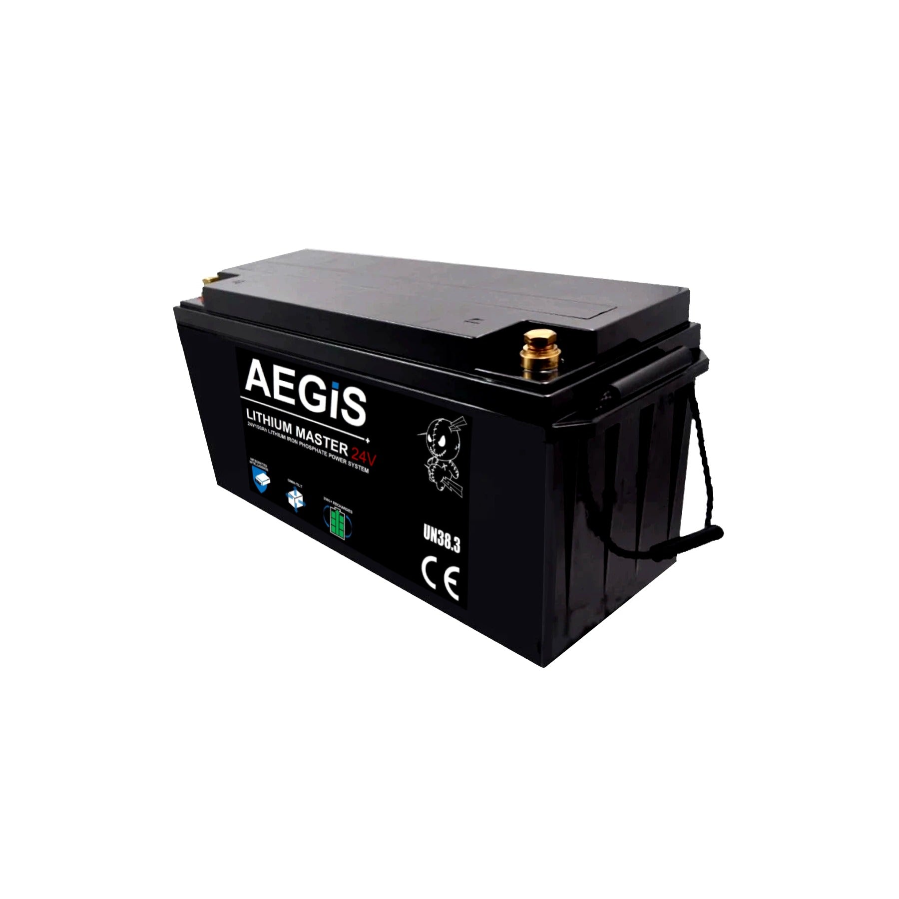 24V 100Ah LiFePO4 Lithium Iron Deep Cycle Battery