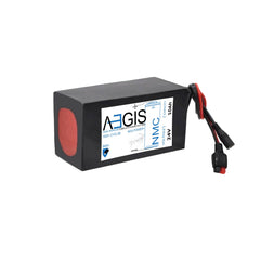 24V, 10Ah Li-ion Battery (NMC, SOFT PACK ABL-024010P) - Aegisbattery