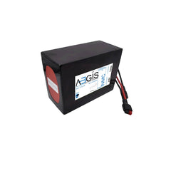 24V, 15Ah Li-ion Battery (NMC, SOFT PACK ABL-024015P) - Aegisbattery