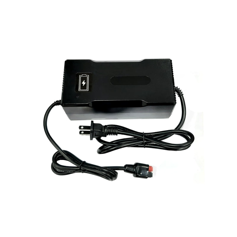 24V 5A NMC Lithium Ion Battery Charger - Aegis Battery