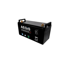 36V 40Ah  LiFePO4 Lithium Iron Deep Cycle Battery - Aegis Battery