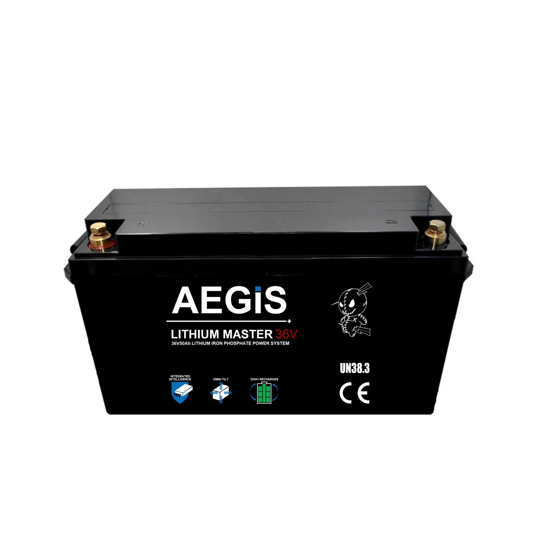 36V 50Ah LiFePO4 Lithium Iron Phosphate Deep Cycle Battery