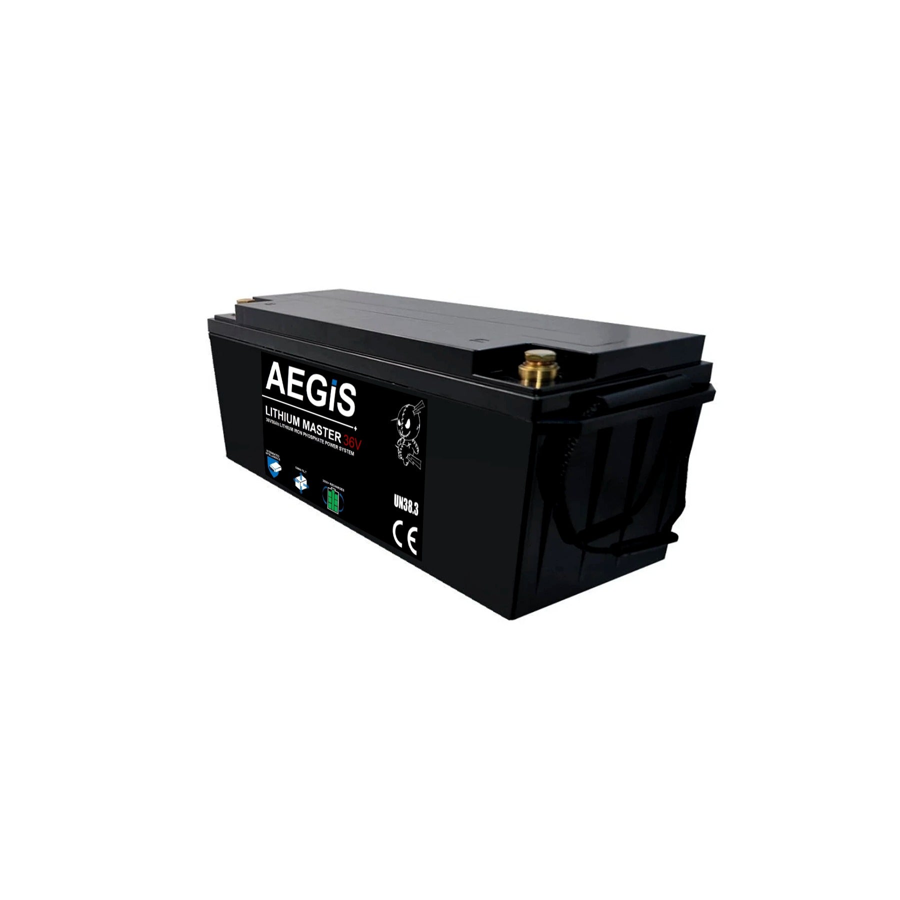 36V 50Ah LiFePO4 Lithium Iron Phosphate Deep Cycle Battery