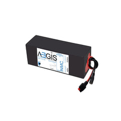 48V, 10Ah Li-ion Battery (NMC, SOFT PACK ABL-048010P) - Aegisbattery