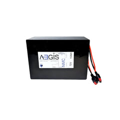 72V 10Ah Li-ion Battery - NMC Lithium Ion Deep Cycle