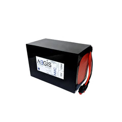 72V 12Ah Li-ion Battery - NMC Lithium Ion Deep Cycle