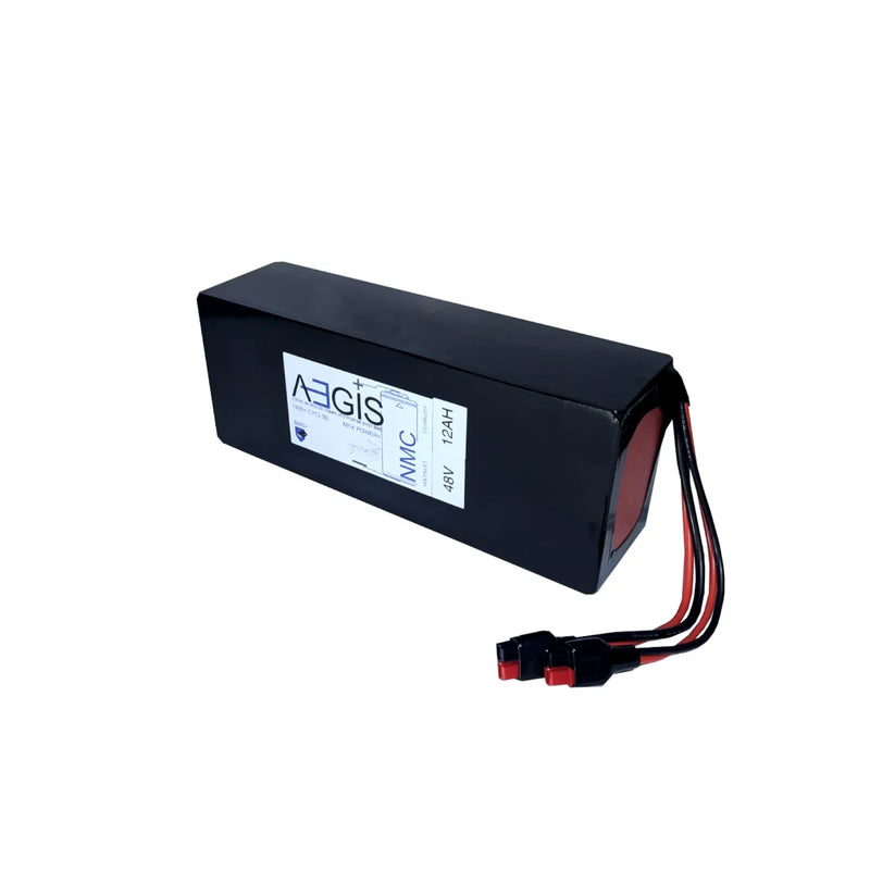 48V 12Ah Li-ion Battery - NMC Lithium Ion Deep Cycle