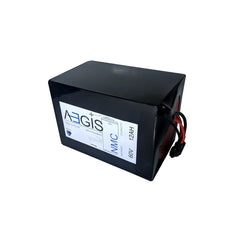 60V 12Ah Li-ion Battery - NMC Lithium Ion Deep Cycle