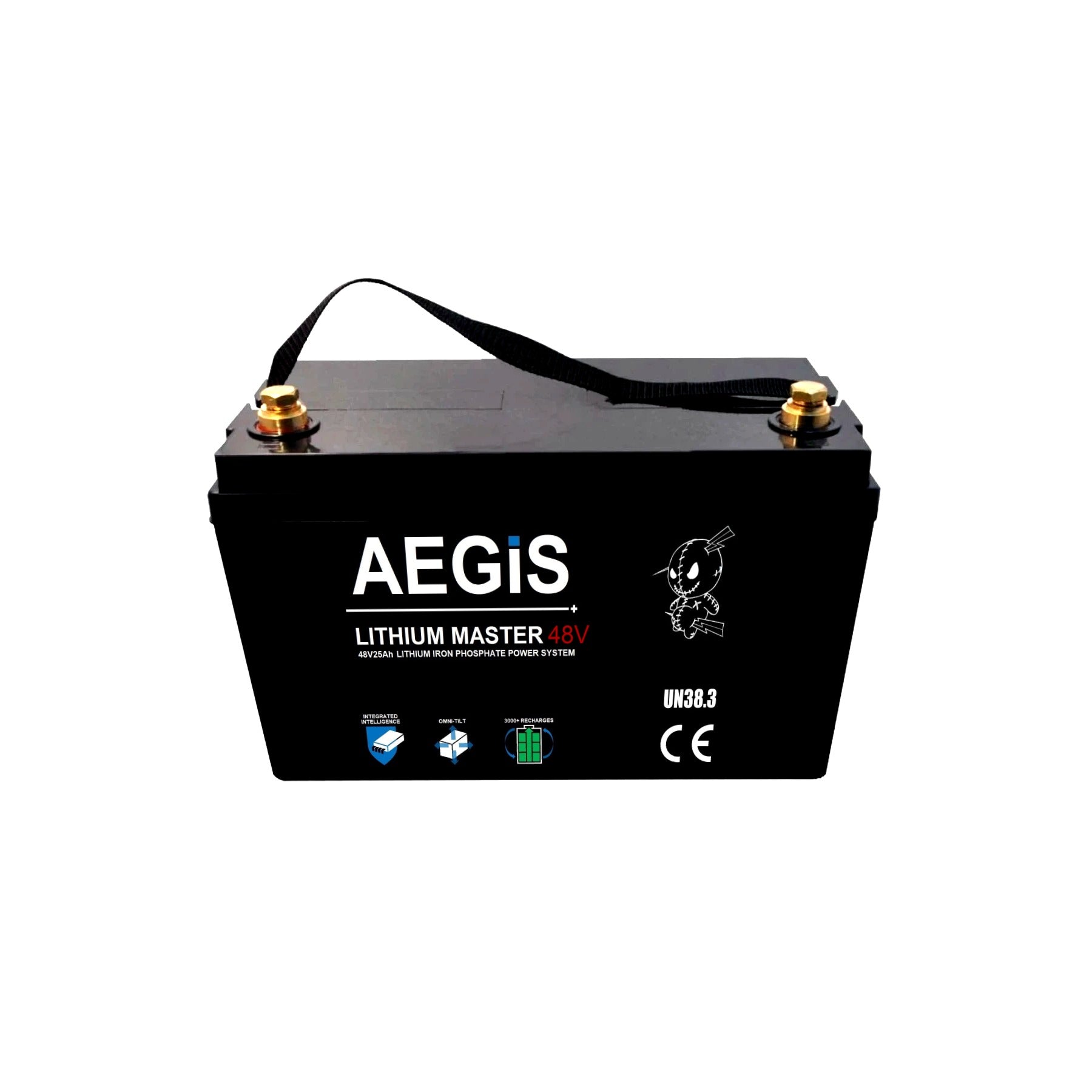 48V 25Ah LiFePO4 Lithium Iron Phosphate Deep Cycle Battery